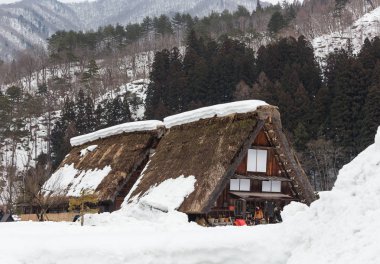 Gündüz, merkezi Japonya'nın Shirakawago Köyü'nde mimarisinin doğal görünümü
