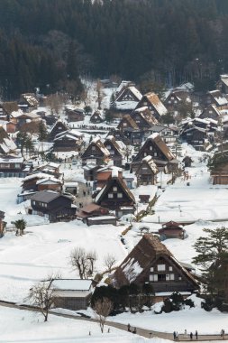 Gündüz, merkezi Japonya'nın Shirakawago Köyü'nde mimarisinin doğal görünümü