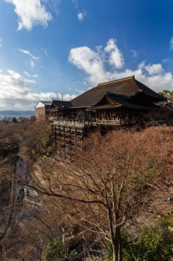 Gündüz Japonya ağaçlarıyla çevrili antik Kyoto tapınak görünümünü