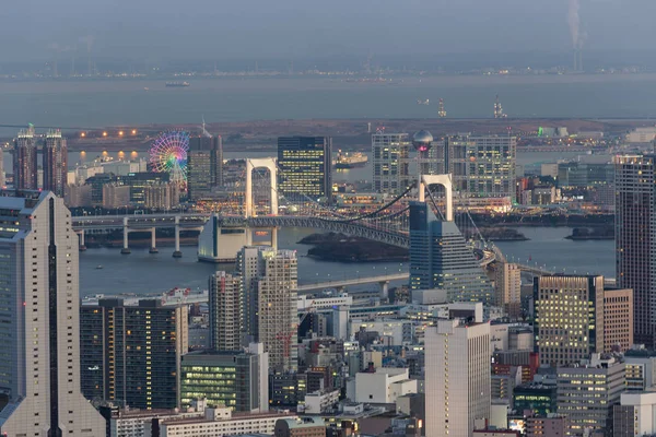 Vista Panorámica Ciudad Tokio Skyline Japón —  Fotos de Stock