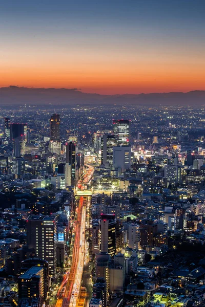 Doğal Görünümünü Tokyo Şehir Manzarası Japonya — Stok fotoğraf