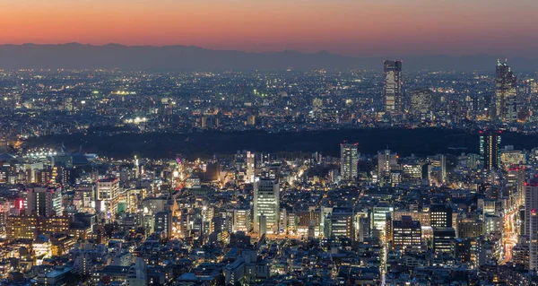 Vista Panorámica Ciudad Tokio Skyline Japón — Foto de Stock