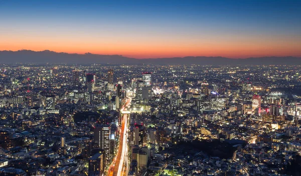 Vista Panorámica Ciudad Tokio Skyline Japón — Foto de Stock