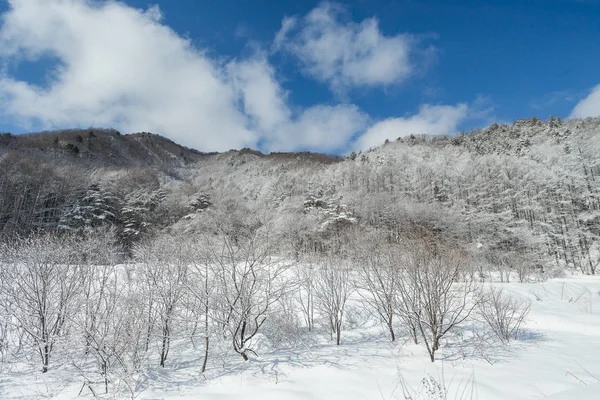 Φύση Χειμώνα Χιονισμένο Θέα Στα Βουνά Και Δέντρα Στην Κεντρική — Φωτογραφία Αρχείου