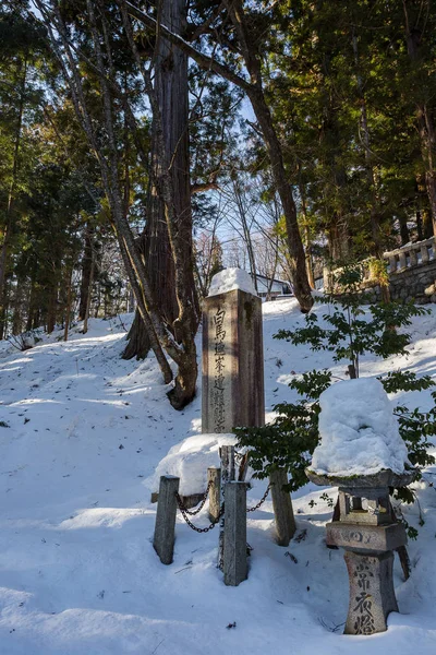 Ciudad Nevada Rodeada Naturaleza Invernal Centro Japón —  Fotos de Stock