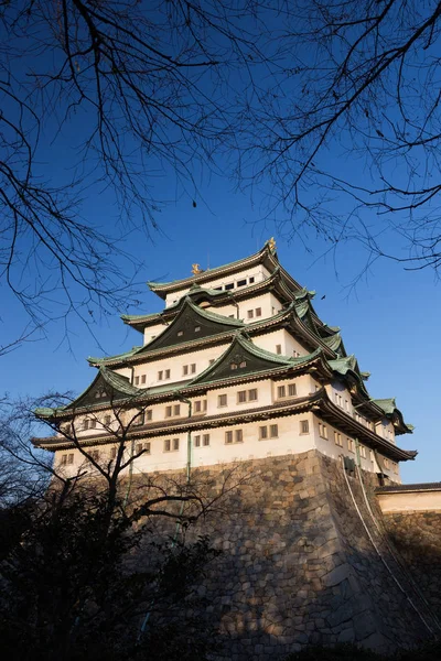 Château Nagoya Sur Fond Ciel Bleu Jour Japon — Photo