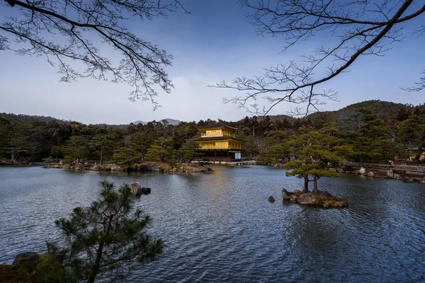 Gündüz Japonya Ağaçlarıyla Çevrili Antik Kyoto Tapınak Görünümünü — Stok fotoğraf