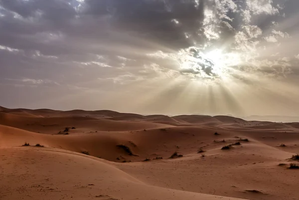 Desierto Del Sahara Gran Paisaje Marruecos —  Fotos de Stock