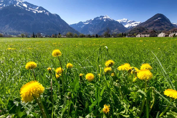 Hermosa Vista Del Río Casa Interlaken Suiza — Foto de Stock