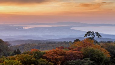 Japonya'da sonbaharda park toplayan