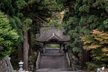 Japonya'da sonbaharda park toplayan