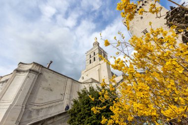 Antik şehir Avignon Fransa