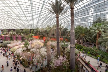 Bahçe Singapur bay tarafından