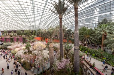 Bahçe Singapur bay tarafından