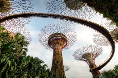 Bahçe Singapur bay tarafından