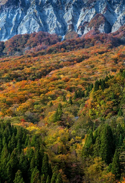 日本秋天公园的风景 — 图库照片