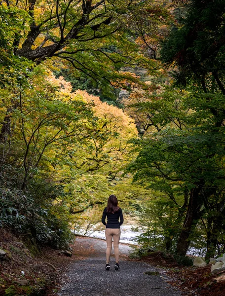 Scenery Park Autumn Japan — Stock Photo, Image