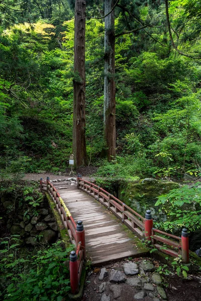 Área Montanha Japão Ambiente Fresco — Fotografia de Stock