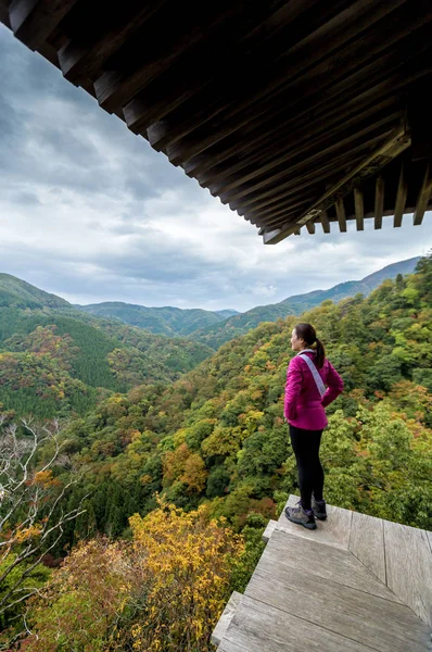 Japonya Daki Dağ Bölgesinde Genç Bir Kadın — Stok fotoğraf