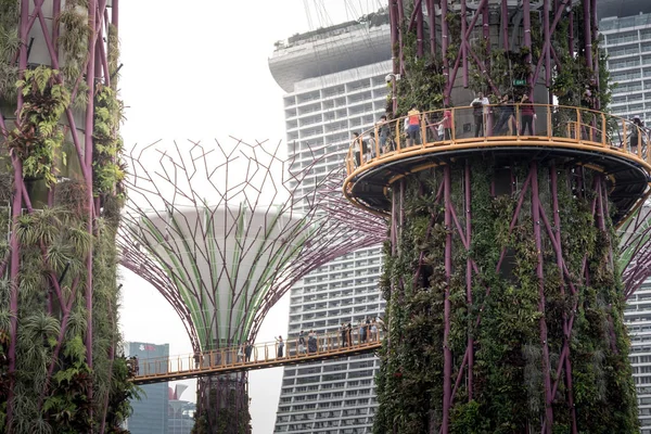 Bahçe Singapur Bay Tarafından — Stok fotoğraf