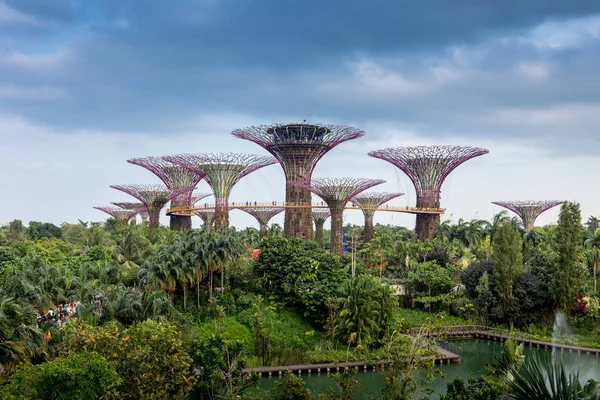 Jardin Bord Baie Singapour — Photo