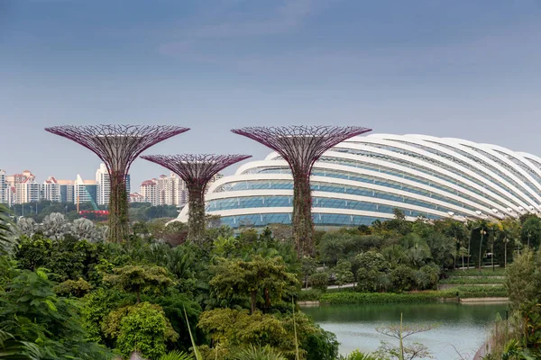 Bahçe Singapur Bay Tarafından — Stok fotoğraf