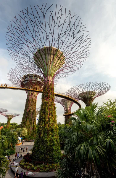 Bahçe Singapur Bay Tarafından — Stok fotoğraf