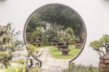 Gündüz vakti parkta taşlar ve ağaçlar 