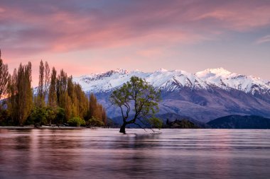 lake wanaka in NewZaland clipart