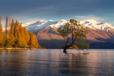 Newzaland Gölü wanaka