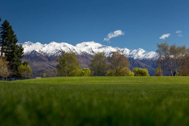 Newzaland Gölü wanaka