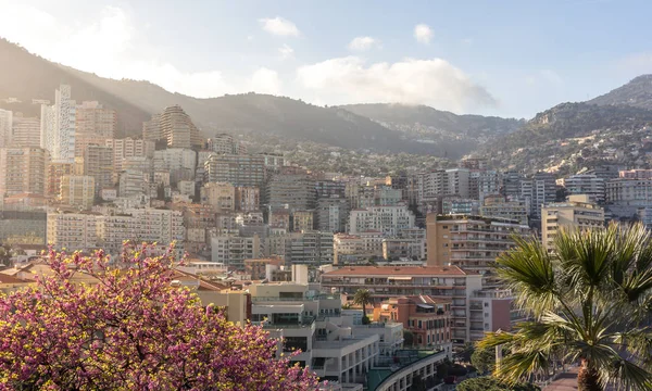 Monaco Architecture French Riviera — Stock Photo, Image