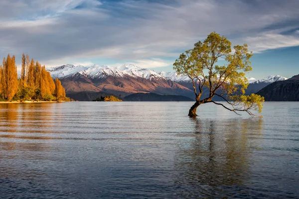 Newzaland Gölü Wanaka — Stok fotoğraf