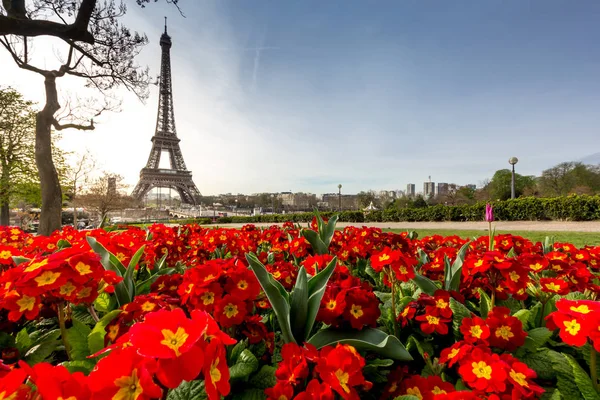 Eiffel Torony Párizsban Franciaországban — Stock Fotó