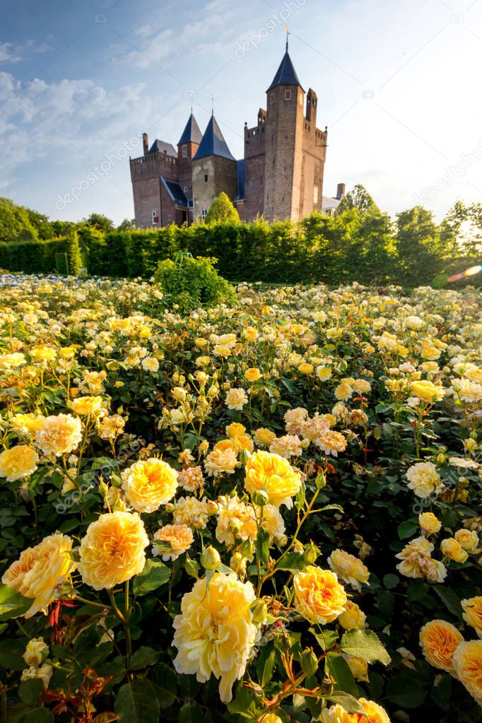 Castle and beautiful flowers in Holland