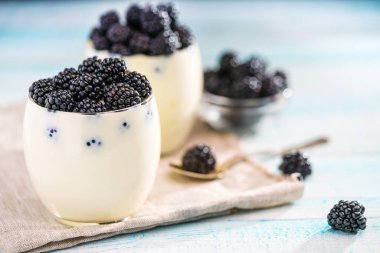 Ev yapımı yoğurt bir turkuaz ahşap taze böğürtlen ile. Seçici odak