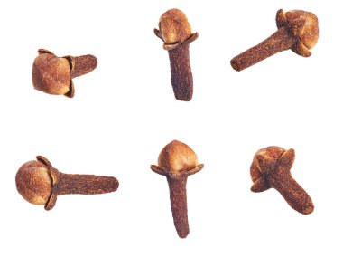 Kuru karanfil beyaz arka plan üzerinde izole. Baharat. Farklı açılardan. Karanfil.
