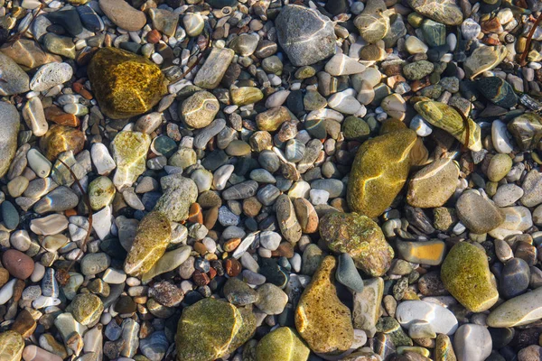 Pedras Marinhas Coloridas Sob Água Vista Superior — Fotografia de Stock