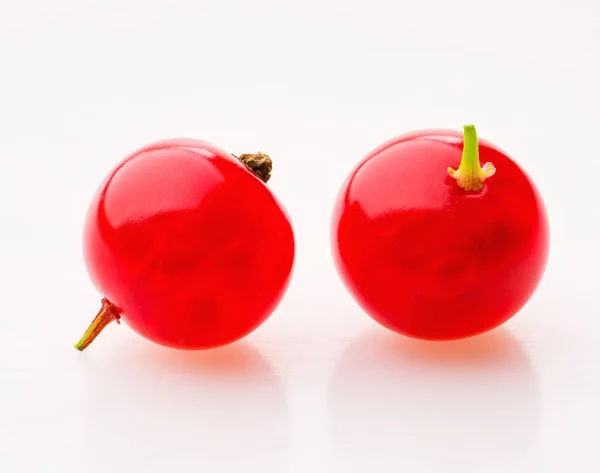 Rote Johannisbeeren Auf Weißem Hintergrund Makro Studioaufnahme — Stockfoto