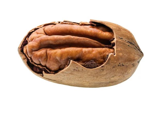 Popraskané Pekanové Ořechy Izolovaných Bílém Pozadí Makro Snímek — Stock fotografie