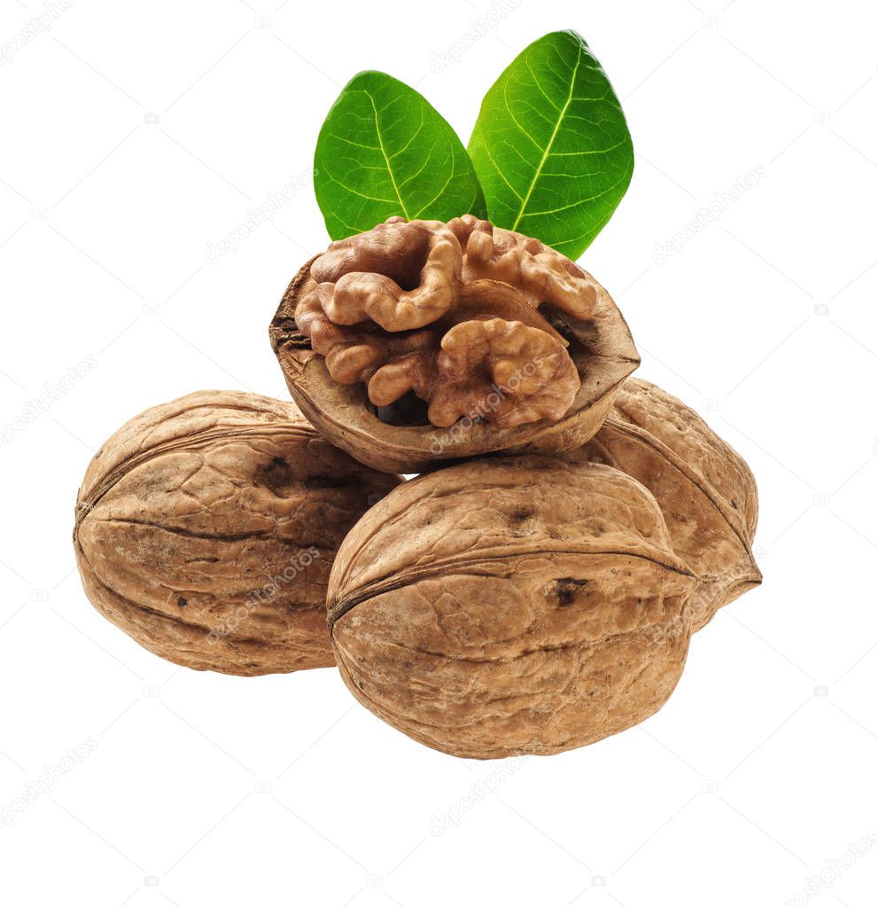 Walnuts with  green leaf isolated on white background, macro shot