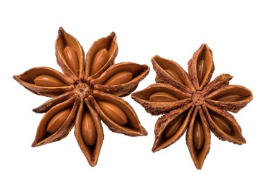 Beyaz arka plan üzerinde makro çekim izole anasonu baharat