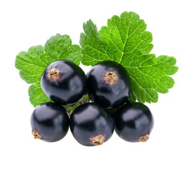 yeşil yaprak beyaz arka plan üzerinde izole siyah frenk üzümü meyve