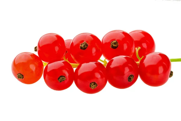 Frische Rote Johannisbeeren Isoliert Über Weißem Hintergrund Studioaufnahme — Stockfoto