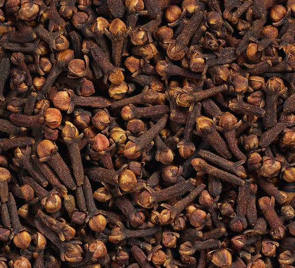 dried clove herb texture for background
