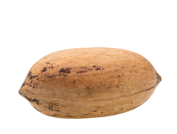 Jeden Pekanové Ořechy Izolovaných Bílém Pozadí — Stock fotografie