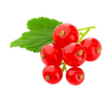 fresh red currant berries isolated over white background.Studio shot clipart