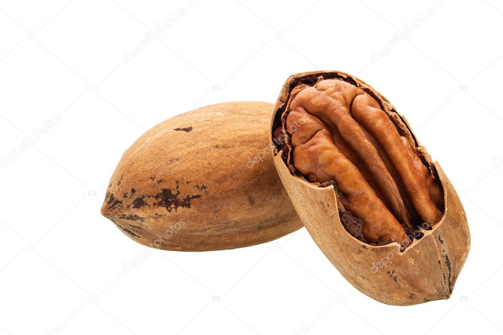 Two pecan  nut  isolated on a white background