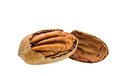 Beyaz arka plan üzerinde izole kabuk ile kırık pekan fındık