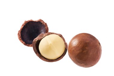 Macadamia fındığı beyaz arkaplanda izole edildi